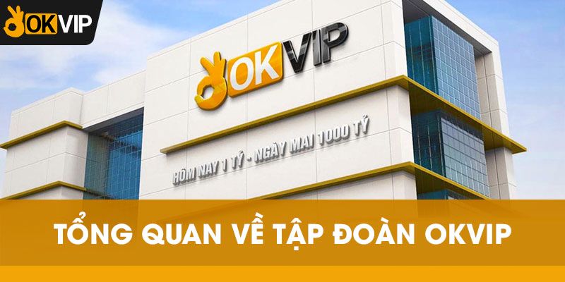 okvip-tai-tro-nhung-hoat-dong-tai-tro-soi-noi-cua-tap-doan-436