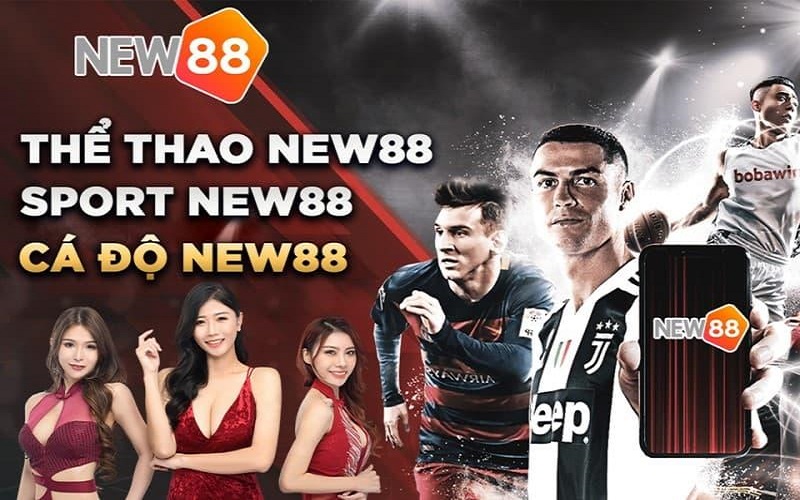 top-cac-loai-keo-the-thao-new88-hot-nhat-danh-cho-cuoc-thu-612