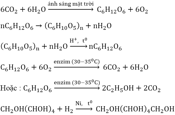 hinh-anh-viet-phuong-trinh-hoa-hoc-cua-cac-phan-ung-thuc-hien-qua-trinh-chuyen-doi-sau-va-ghi-dieu-kien-phan-ung-7572-0