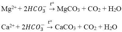 hinh-anh-mot-coc-nuoc-co-chua-cac-ion-na002-mol-mg2002-mol-ca2004-mol-cl-002-mol-hco3-010-mol-va-so42-001-mol-dun-soi-coc-nuoc-tren-cho-den-khi-phan-ung-xay-ra-hoan-toan-thi-nuoc-trong-coc-la-nuoc-gi-7826-0