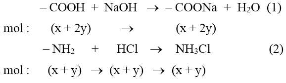 hinh-anh-hon-hop-x-gom-alanin-va-axit-glutamic-cho-m-gam-x-tac-dung-hoan-toan-voi-dung-dich-naoh-du-thu-duoc-dung-dich-y-chua-m--308-gam-muoi-mat-khac-neu-cho-m-gam-x-tac-dung-hoan-toan-voi-dung-dich-hcl-thu-duoc-dung-dich-z-chua-m--365-gam-muoi-tim-m-7890-0