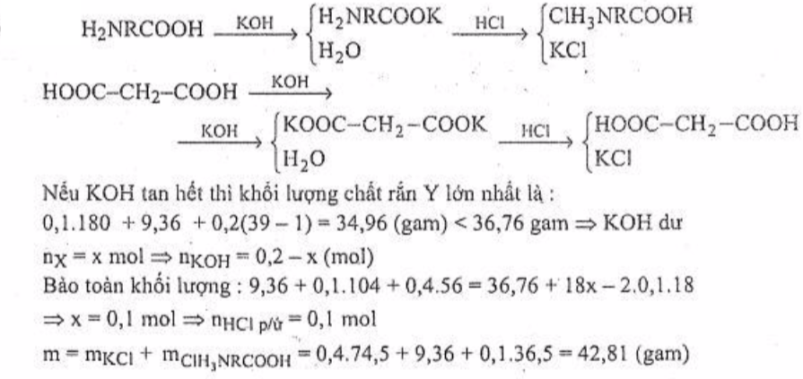 hinh-anh-x-va-y-la-2-hop-chat-huu-co-mach-ho-hon-nhau-mot-nguyen-tu-cacbon-mx-my-dot-chay-hoan-toan-034-mol-hon-hop-e-gom-x-va-y-bang-o2roi-cho-toan-bo-san-pham-thu-duoc-chi-gom-co2va-h2o-hap-thu-het-vao-mot-dung-dich-cua-03-mol-baoh2-va-01-mol-naoh-sau-phan-ung-thu-duoc-394-g-ket-tua-de-tac-dung-het-voi-034g-hon-hop-e-can-vua-du-05-mol-koh-tinh-phan-tram-khoi-luong-cua-y-trong-hon-hop-e-7931-0