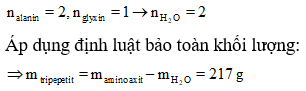 hinh-anh-tinh-khoi-luong-tripeptit-duoc-tao-thanh-tu-178-gam-alanin-va-75-gam-glyxin-7942-0