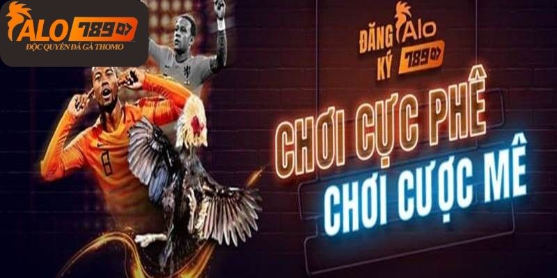 hinh-anh-alo789-ca-cuoc-da-ga-uy-tin-chat-luong-so-1-viet-nam-870-0