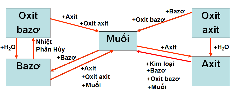 hinh-anh-bai-13-luyen-tap-chuong-1-cac-hop-chat-vo-co-86-1