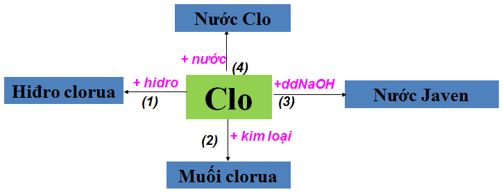 hinh-anh-bai-32-luyen-tap-chuong-3-phi-kim--so-luoc-ve-bang-tuan-hoan-cac-nguyen-to-hoa-hoc-105-1