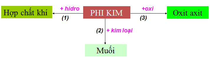 hinh-anh-bai-32-luyen-tap-chuong-3-phi-kim--so-luoc-ve-bang-tuan-hoan-cac-nguyen-to-hoa-hoc-105-0