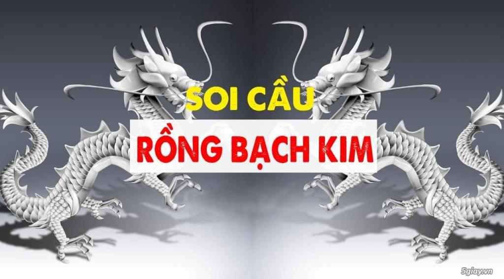 hinh-anh-kinh-nghiem-soi-cau-bach-kim-bi-kip-chien-thang-xo-so-mien-bac-tai-okvip-936-0