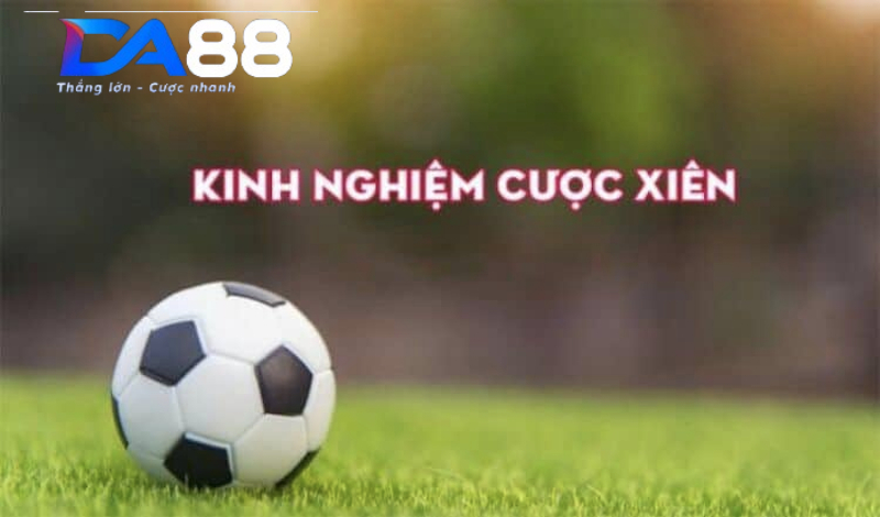 hinh-anh-tien-bip-thu-ca-100-trieu-moi-ngay-nho-cuoc-xien-tai-da88vipcom-913-3