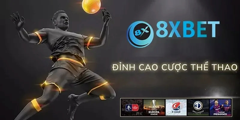 hinh-anh-ca-cuoc-the-thao-8xbet-nhu-the-nao-cho-dung-905-2