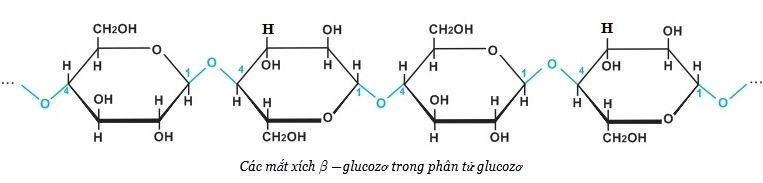 hinh-anh-bai-8-xenlulozo-378-0