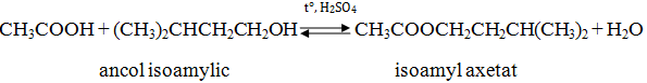 hinh-anh-chuong-i-este-lipit-bai-1-este-371-7