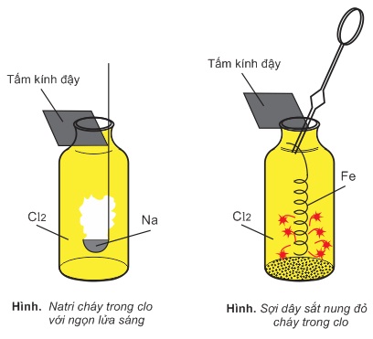 hinh-anh-bai-30-clo-288-0