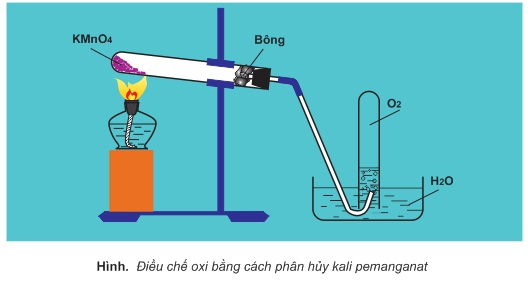 hinh-anh--299-1