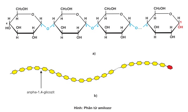 hinh-anh-bai-36-xicloankan-344-0