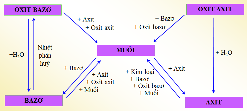 hinh-anh-bai-12-moi-quan-he-giua-cac-loai-chat-vo-co-85-0