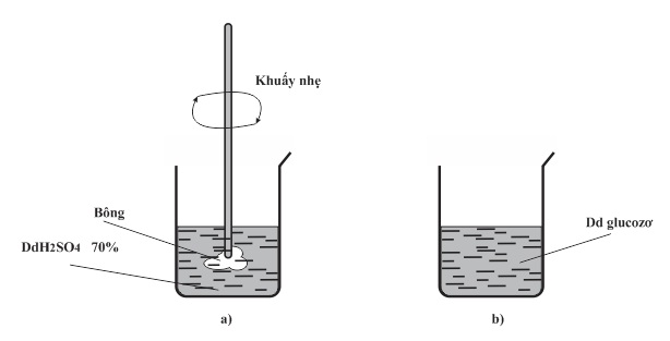 hinh-anh-bai-8-xenlulozo-378-1