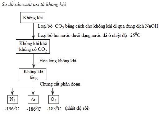 hinh-anh--299-2