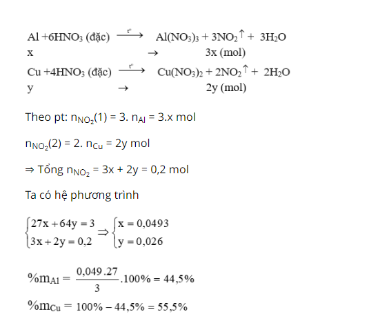 hinh-anh-khi-cho-300-g-hon-hop-cu-va-al-tac-dung-voi-dung-dich-hno3-dac-du-dun-nong-sinh-ra-448-lit-khi-duy-nhat-no2-dktc-xac-dinh-phan-tram-khoi-luong-cua-moi-kim-loai-trong-hon-hop-3606-0