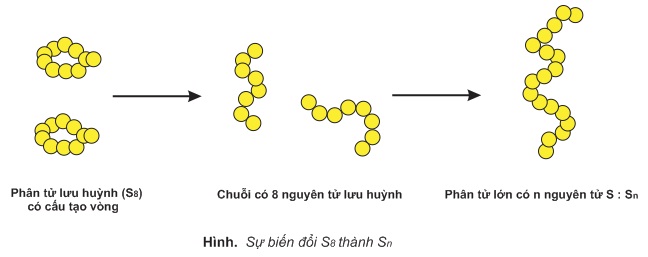 hinh-anh-bai-43-luu-huynh-301-2