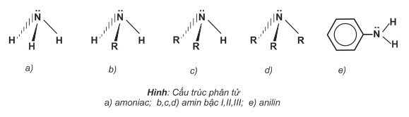 hinh-anh-chuong-3-bai-11-amin-379-3