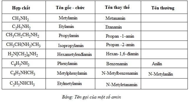 hinh-anh-chuong-3-bai-11-amin-379-1