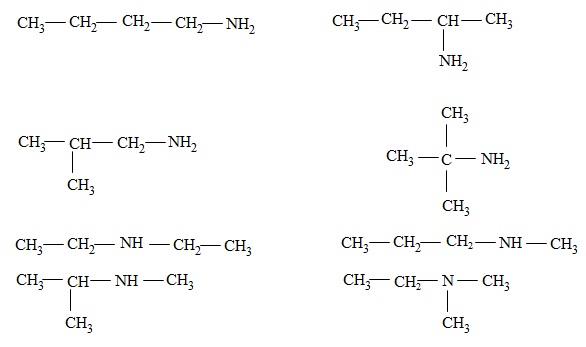 hinh-anh-chuong-3-bai-11-amin-379-2