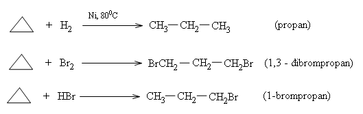 hinh-anh-bai-36-xicloankan-344-4