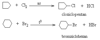 hinh-anh-bai-36-xicloankan-344-6