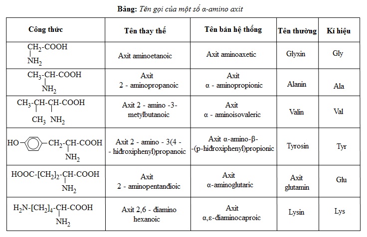 hinh-anh-bai-12-amino-axit-380-4
