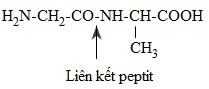 hinh-anh-bai-13-peptit-va-protein-381-0