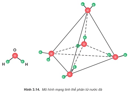 hinh-anh-bai-20-tinh-the-nguyen-tu-tinh-the-phan-tu-278-2