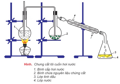 hinh-anh-bai-42-khai-niem-ve-tecpen-350-3