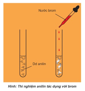 hinh-anh-chuong-3-bai-11-amin-379-5