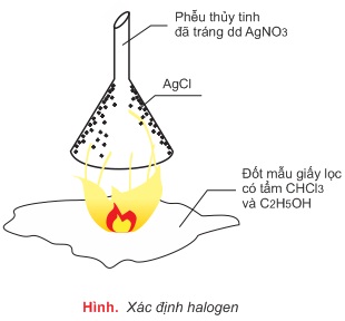 hinh-anh-bai-27-phan-tich-nguyen-to-335-1