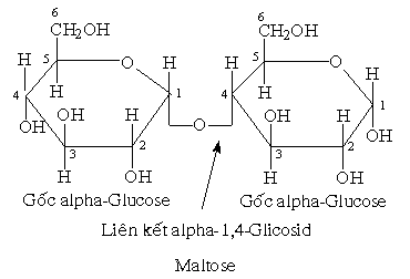 hinh-anh-bai-31-phan-ung-huu-co-339-2