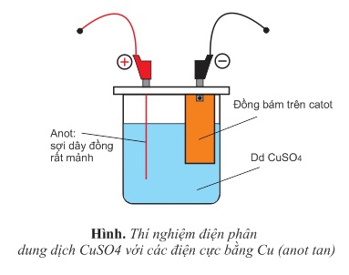 hinh-anh-bai-22-su-dien-phan-386-5