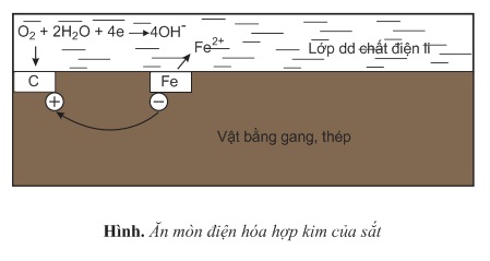 hinh-anh-bai-23su-an-mon-kim-loai-388-1