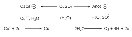 hinh-anh-bai-22-su-dien-phan-386-3