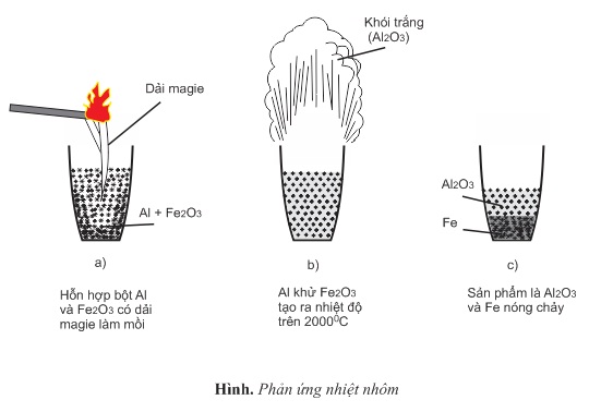 hinh-anh-bai-33-nhom-394-1