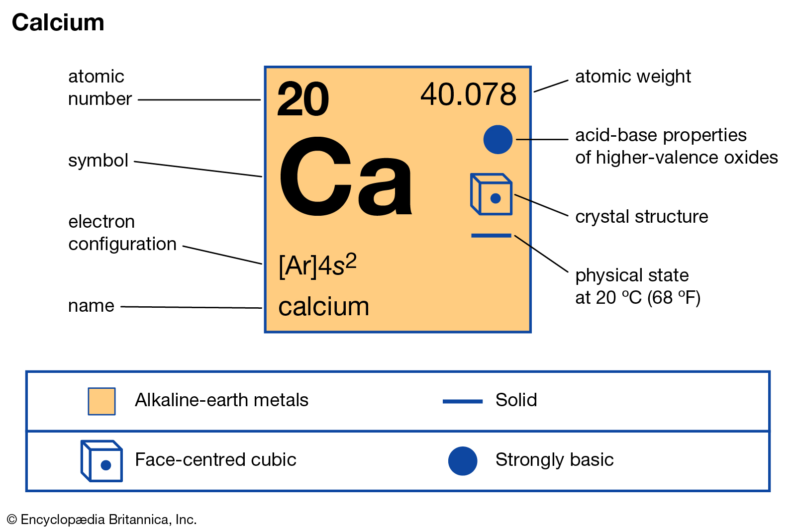 hinh-anh-su-that-thu-vi-ve-calcium-41-0