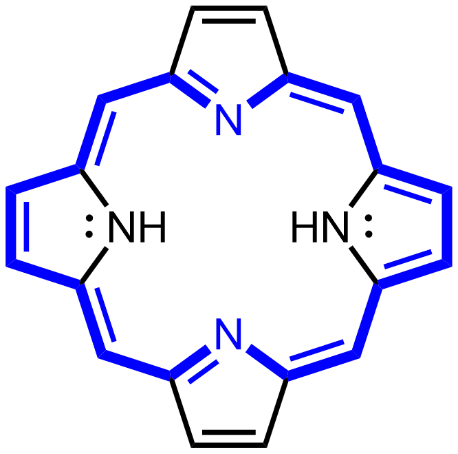 hinh-anh-porphin-292-0