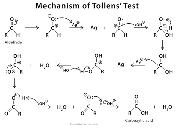 hinh-anh-thuoc-thu-tollens-287-0