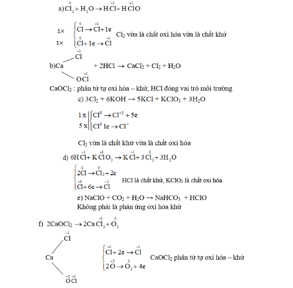 hinh-anh-co-nhung-so-do-phan-ung-hoa-hoc-sau-a-cl2-h2o--hcl--hclo-b-caocl2-2hcl--cacl2-cl2-h2o-c-cl2-koh--kcl--kclo3-h2o-d-hcl--kclo3-kcl--cl2-h2o-e-naclo--co2-h2o--nahco3-hclo-f-caocl3-cacl2-o2-cho-biet-nhung-phan-ung-nao-la-phan-ung-oxi-hoa--khu-vai-tro-cac-chat-tham-gia-phan-ung-oxi-hoa--khu-hoan-thanh-phuong-trinh-hoa-hoc-cua-cac-phan-ung-3474-0