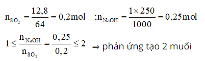 hinh-anh-hap-thu-hoan-toan-128g-so2-vao-250ml-dung-dich-naoh-1m--a-viet-cac-phuong-trinh-hoa-hoc-cua-phan-ung-co-the-xay-ra-b-tinh-khoi-luong-muoi-tao-thanh-sau-phan-ung-3525-0