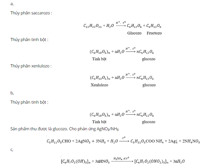 hinh-anh-viet-phuong-trinh-hoa-hoc-xay-ra-neu-co-giua-cac-chat-sau-a-thuy-phan-saccarozo-tinh-bot-va-xenlulozo--b-thuy-phan-tinh-bot-co-xuc-tac-axit-sau-do-cho-san-pham-tac-dung-voi-dung-dich-agno3nh3-lay-du-c-dun-nong-xenlulozo-voi-hon-hop-hno3-h2so4-3989-0