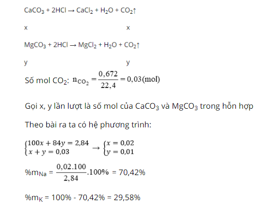 hinh-anh-cho-284-g-hon-hop-caco3-va-mgco3-tac-dung-het-voi-dung-dich-hcl-thay-bay-ra-672-ml-khi-co2-dktc-phan-tram-khoi-luong-cua-hai-muoi-caco3--mgco3-trong-hon-hop-la--4111-0