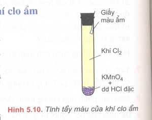 hinh-anh-bai-27-bai-thuc-hanh-so-2-tinh-chat-hoa-hoc-cua-khi-clo-va-hop-chat-cua-clo-154-0