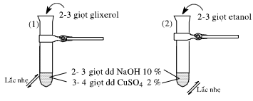 hinh-anh-bai-43-bai-thuc-hanh-5-tinh-chat-cua-etanol-glixerol-va-phenol-208-1