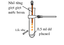 hinh-anh-bai-43-bai-thuc-hanh-5-tinh-chat-cua-etanol-glixerol-va-phenol-208-2